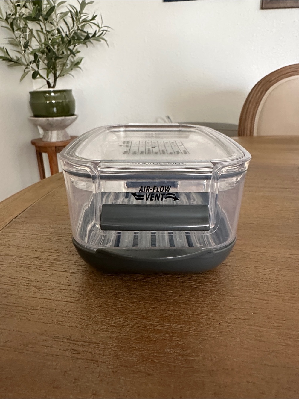 🍓🫐 Produce ProKeeper Stay Fresh Container with Gray Base by Progressive - Picture 3 of 12
